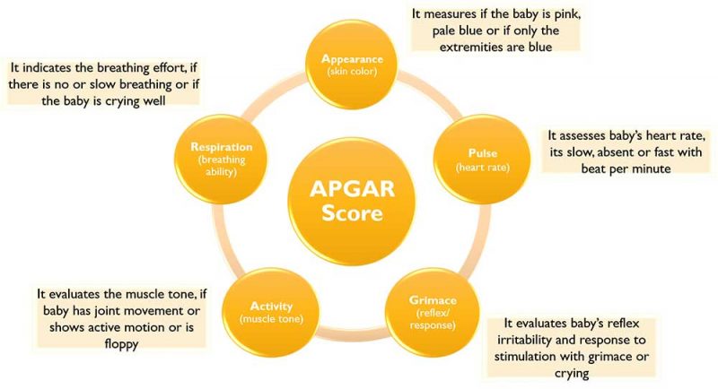 apgar score