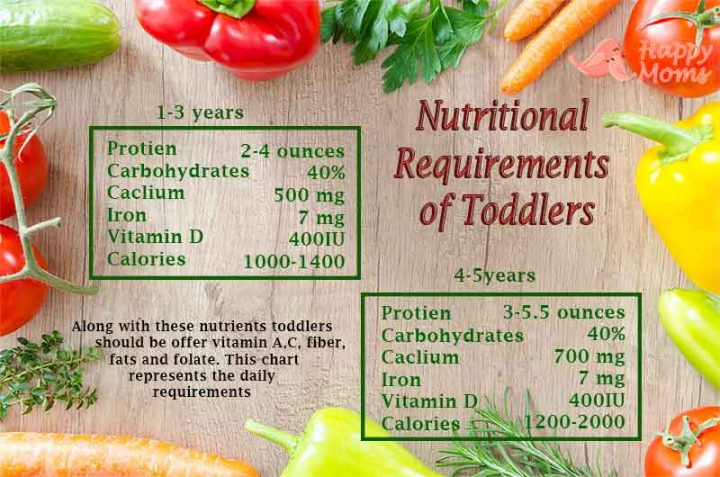 nutritional requirements of toddlers