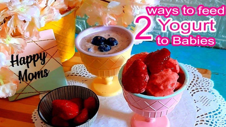 Fruit yogurt recipe